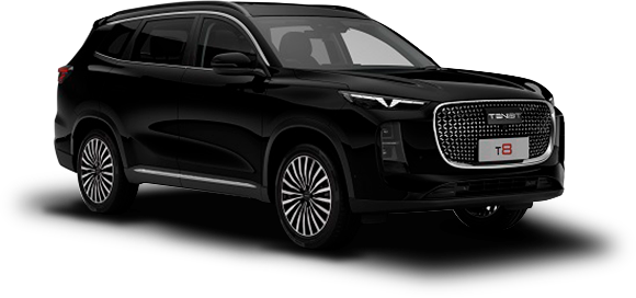 T8 I Глубокий черный цвет 2025-ого года купить в Москве - autospot-96.ru