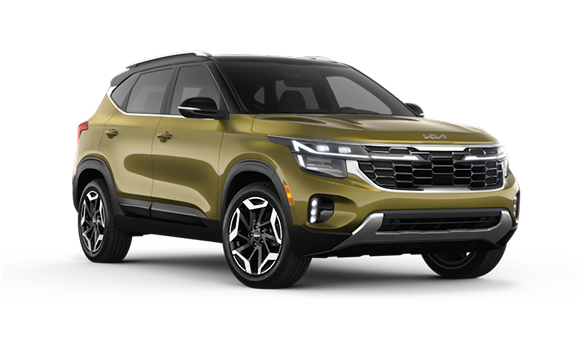 Seltos I Рест Valais Green/Fusion Black Roof цвет 2025-ого года купить в Москве - autospot-96.ru