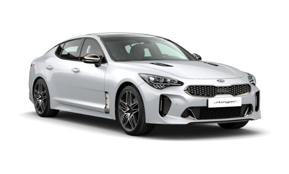 Stinger Snow White Pearl цвет 2025-ого года купить в Москве - autospot-96.ru
